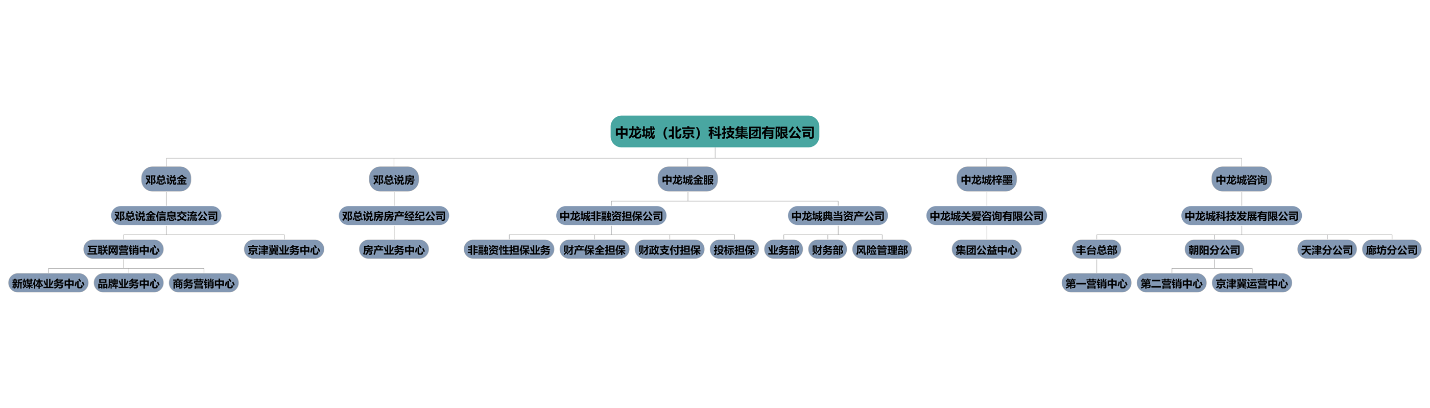 邓总说金组织架构